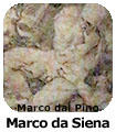 Marco da Siena